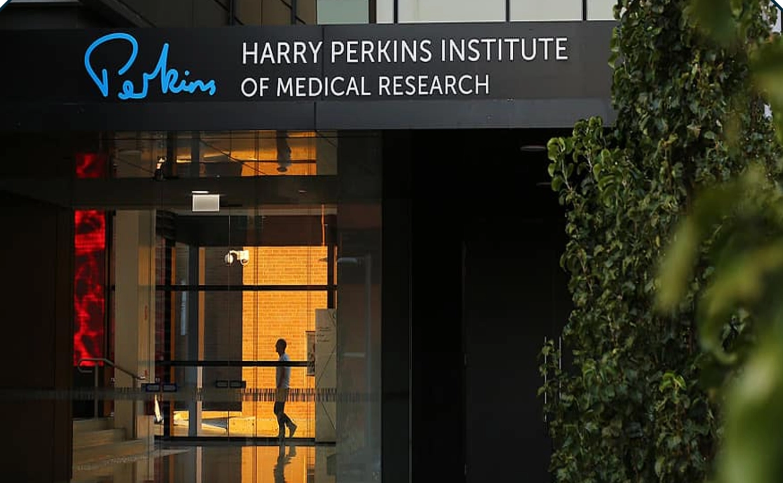 Harry Perkins Institute of Medical Research (Perth)